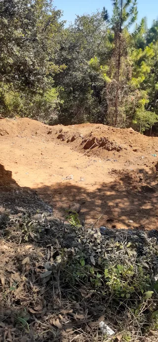 Avance de obra del 20/02/2026 — foto 3