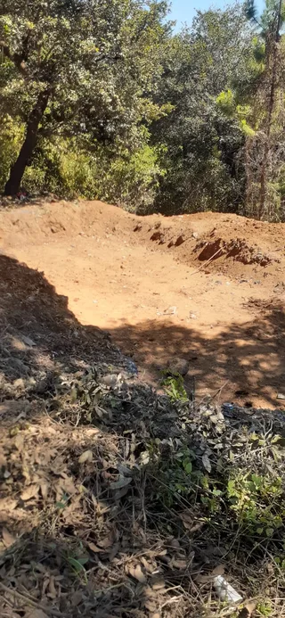 Avance de obra del 20/02/2026 — foto 4