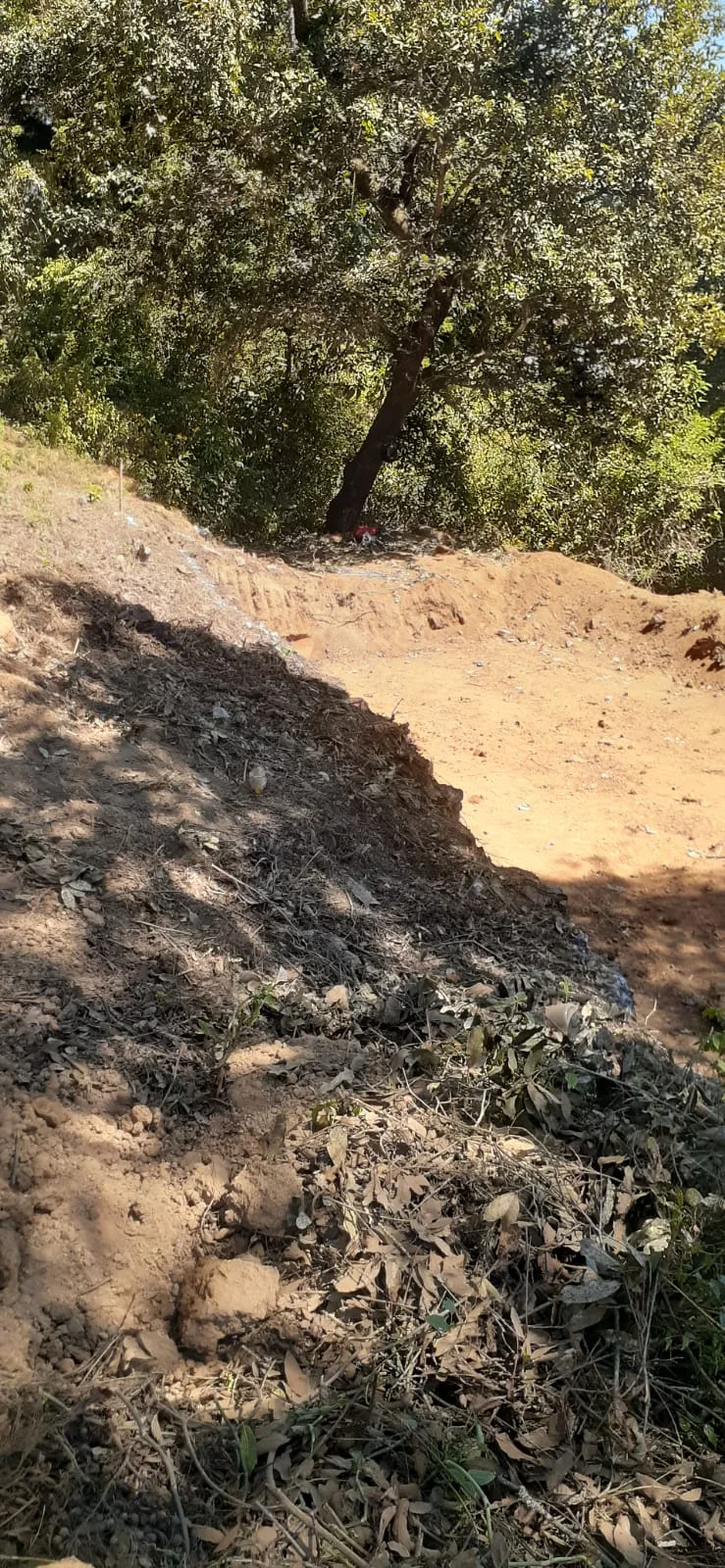 Avance de obra del 20/02/2026